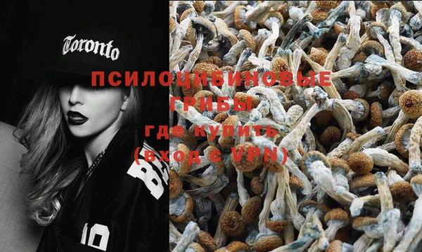 винт Горнозаводск