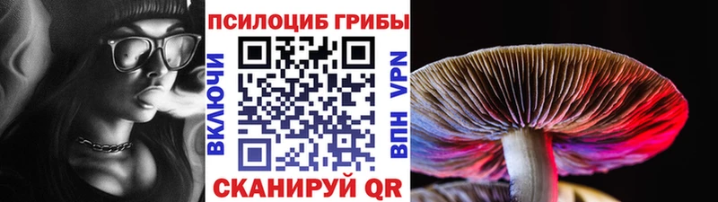 что такое наркотик  Жердевка  Псилоцибиновые грибы прущие грибы 